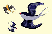 Swallow bird illustration
