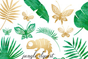 Rainforest & Jungle Clipart Set