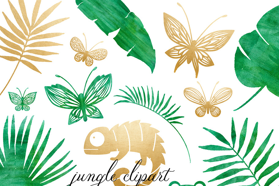 Rainforest & Jungle Clipart Set
