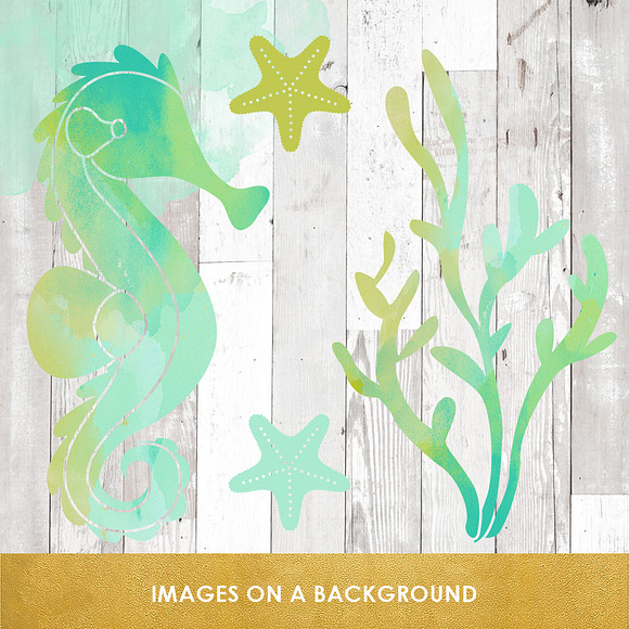 Sea Life Clipart Set In Watercolor in Illustrations - product preview 4