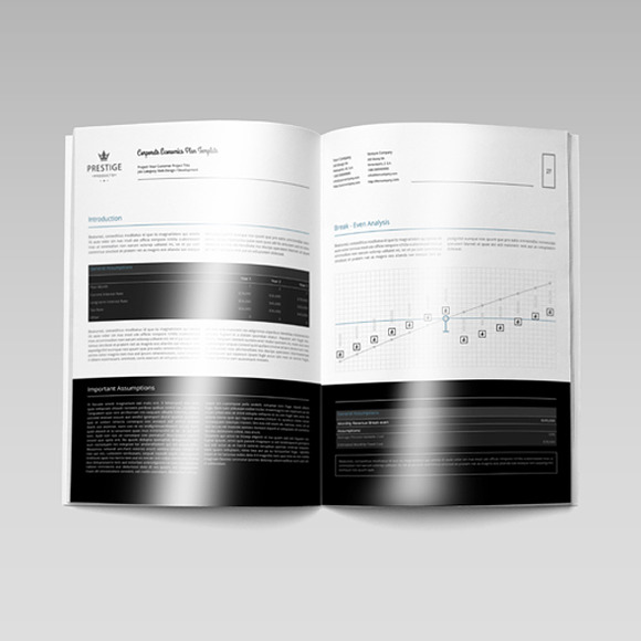 Corporate Economics Plan Template in Templates - product preview 4