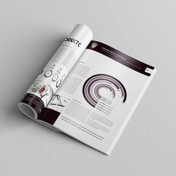 Professional Corporate Plan Template in Templates - product preview 1