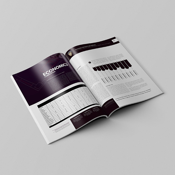Professional Corporate Plan Template in Templates - product preview 4
