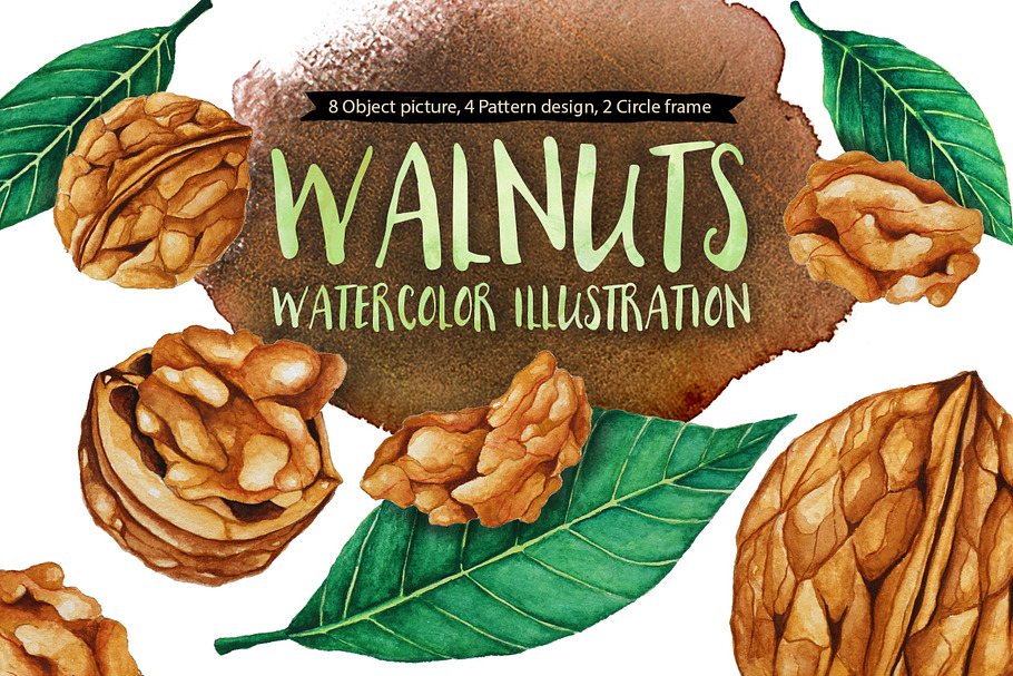 Walnuts Watercolors Illustration in Illustrations - product preview 8