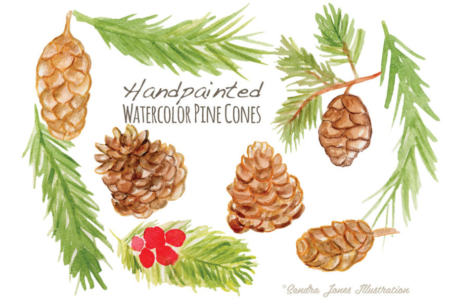 Watercolor Pinecones in Illustrations - product preview 8