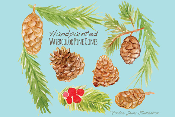 Watercolor Pinecones in Illustrations - product preview 1