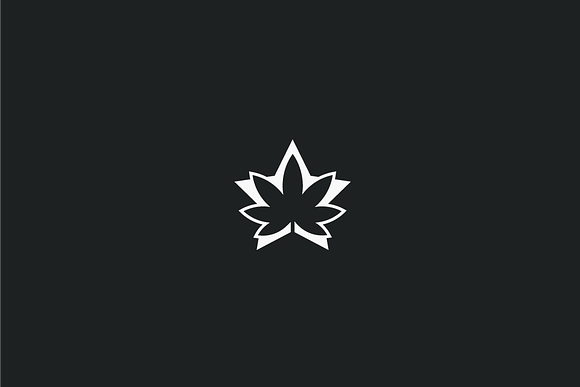 Weed Star  in Logo Templates - product preview 2