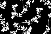 Black and White Floral Collage Pattern