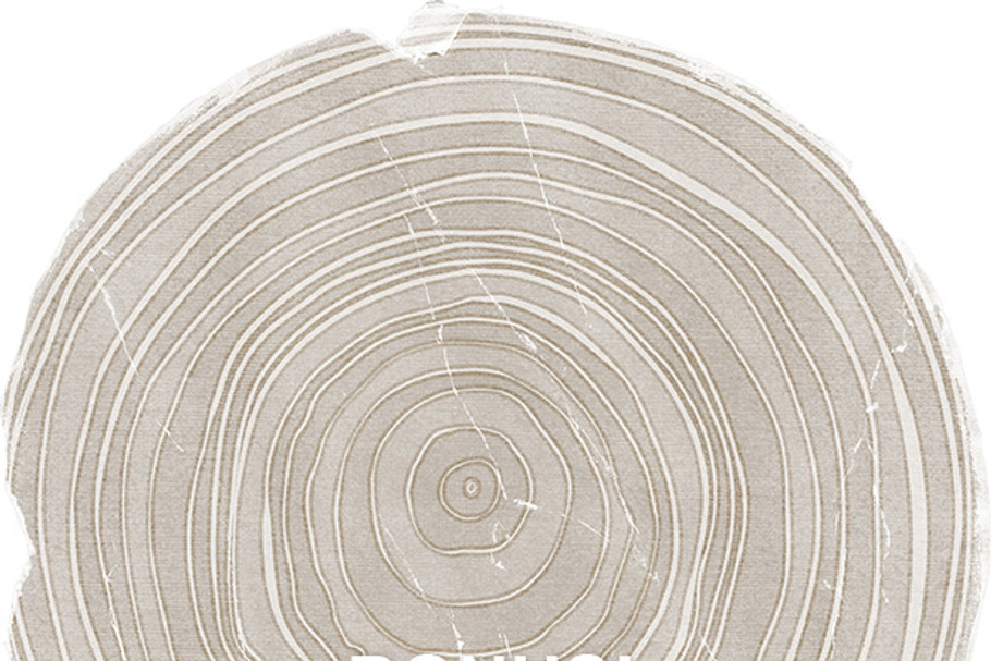 Natural Organic Pattern Paper