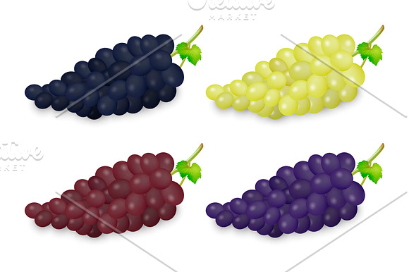 Wine illustrations. in Product Mockups - product preview 2