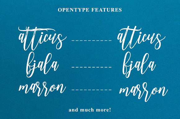 Adasmine Clean & Textured Script in Script Fonts - product preview 17