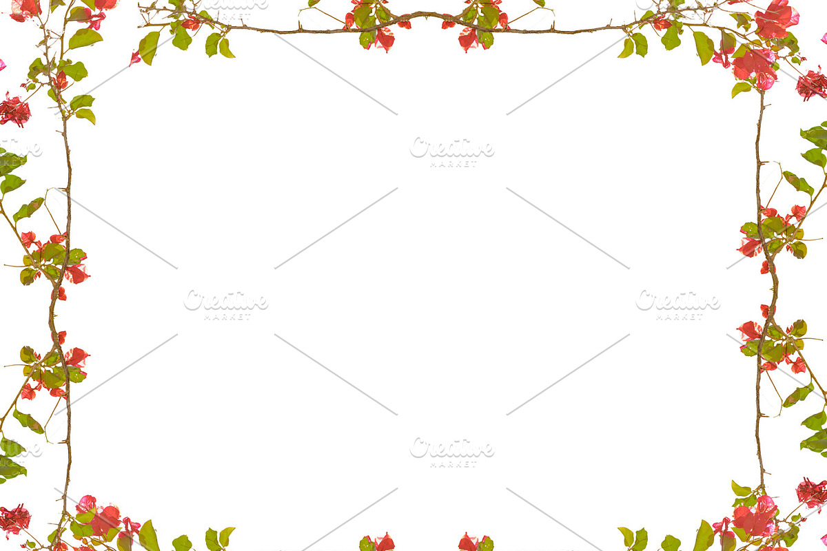 White Frame with Decorated Floral Borders in Illustrations - product preview 8