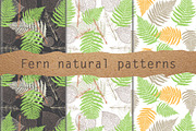 Fern natural patterns vector set