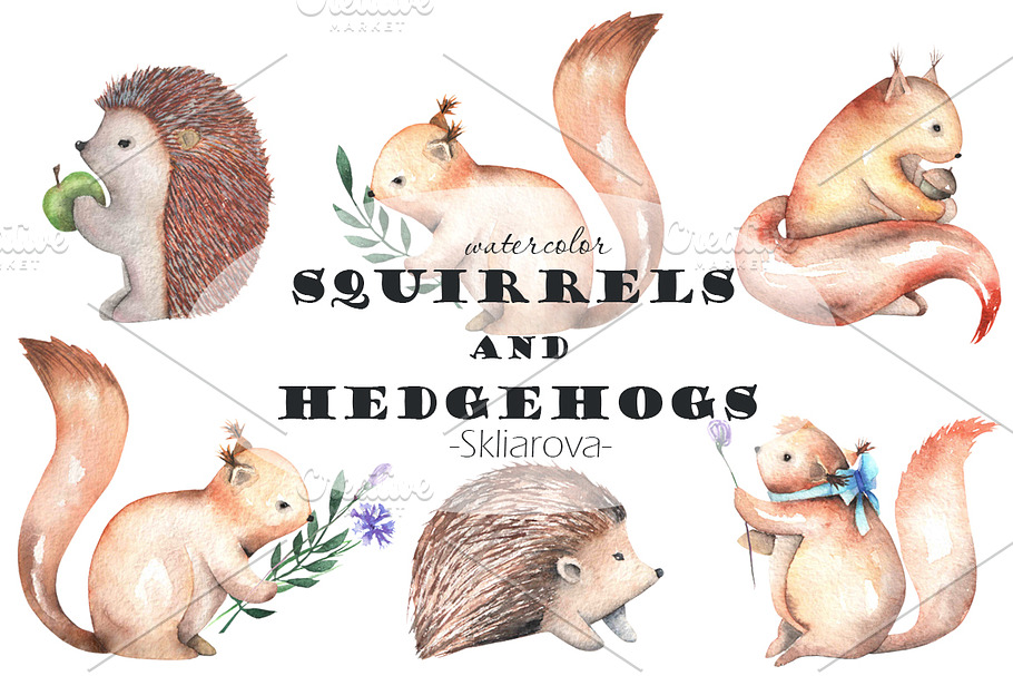 watercolor Squirrels & Hedgehogs