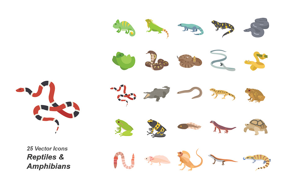 Reptiles & Amphibians color icons