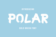 Polar Typeface | Brush Font 