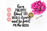 Be a Pineapple Quote SVG PNG JPEG