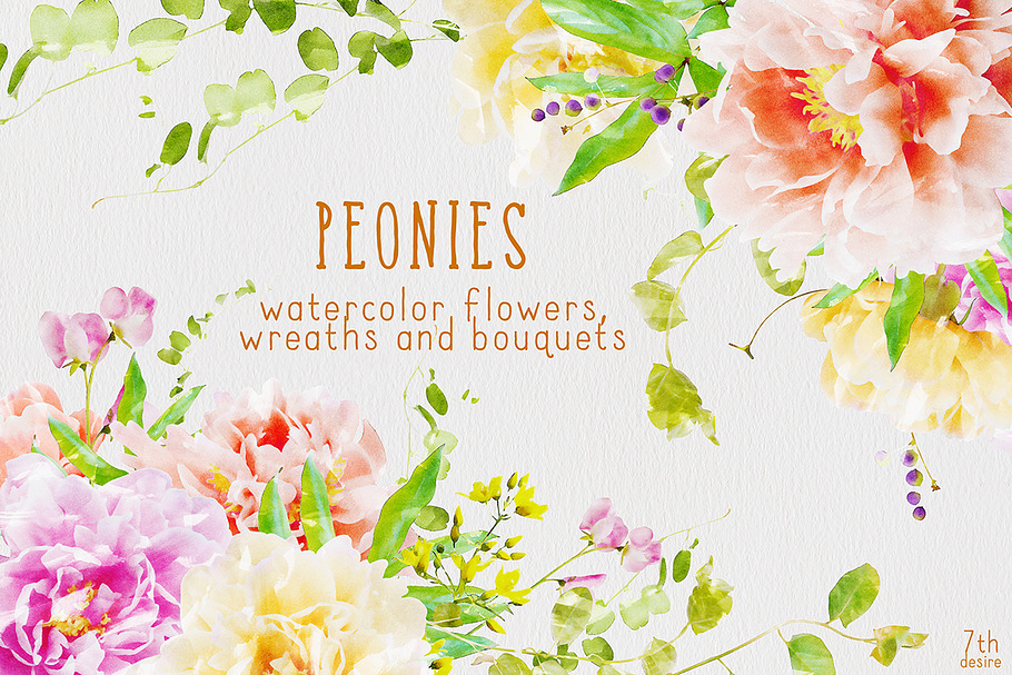 Watercolor Flowers - Peonies