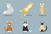 Different cartoon cats set.