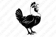 Rooster chicken crowing