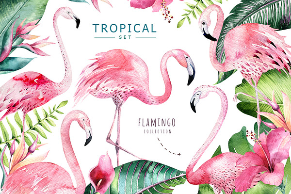 Tropical set II. Flamingo collection