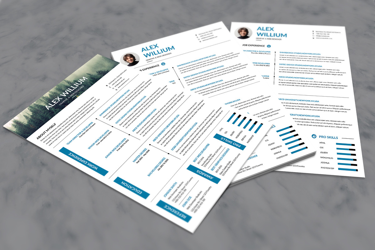3 Minimal Resume in Resume Templates - product preview 8