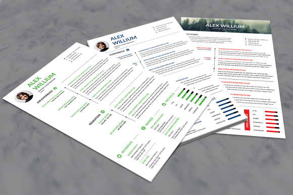 3 Minimal Resume in Resume Templates - product preview 1
