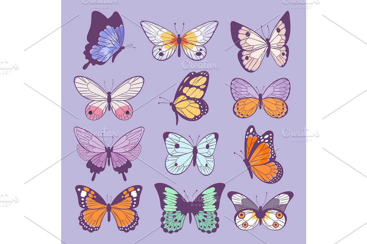 Colorful different summer colorfullbutterfly wings vector top view illustration isolated on background. in Illustrations - product preview 8