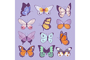 Colorful different summer colorfullbutterfly wings vector top view illustration isolated on background.
