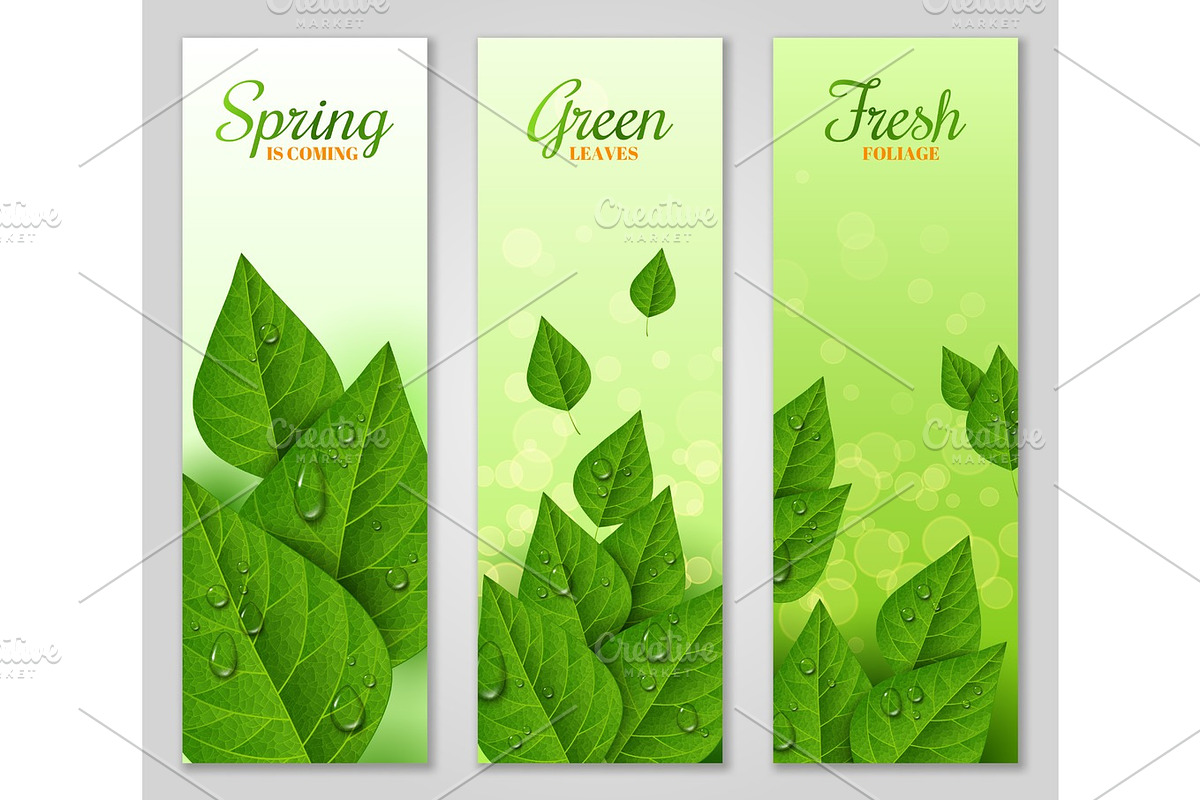Vertical banners with green leaves in Illustrations - product preview 8