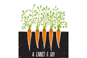 Growing Carrots Scratchy Drawing