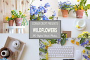 Wildflower Styled Stock Photo Bundle