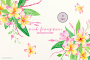 Pink Frangipani Clip Art Watercolor