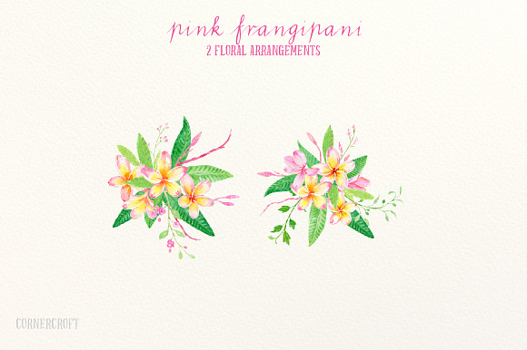 Pink Frangipani Clip Art Watercolor in Illustrations - product preview 2