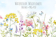 Watercolor wildflowers set