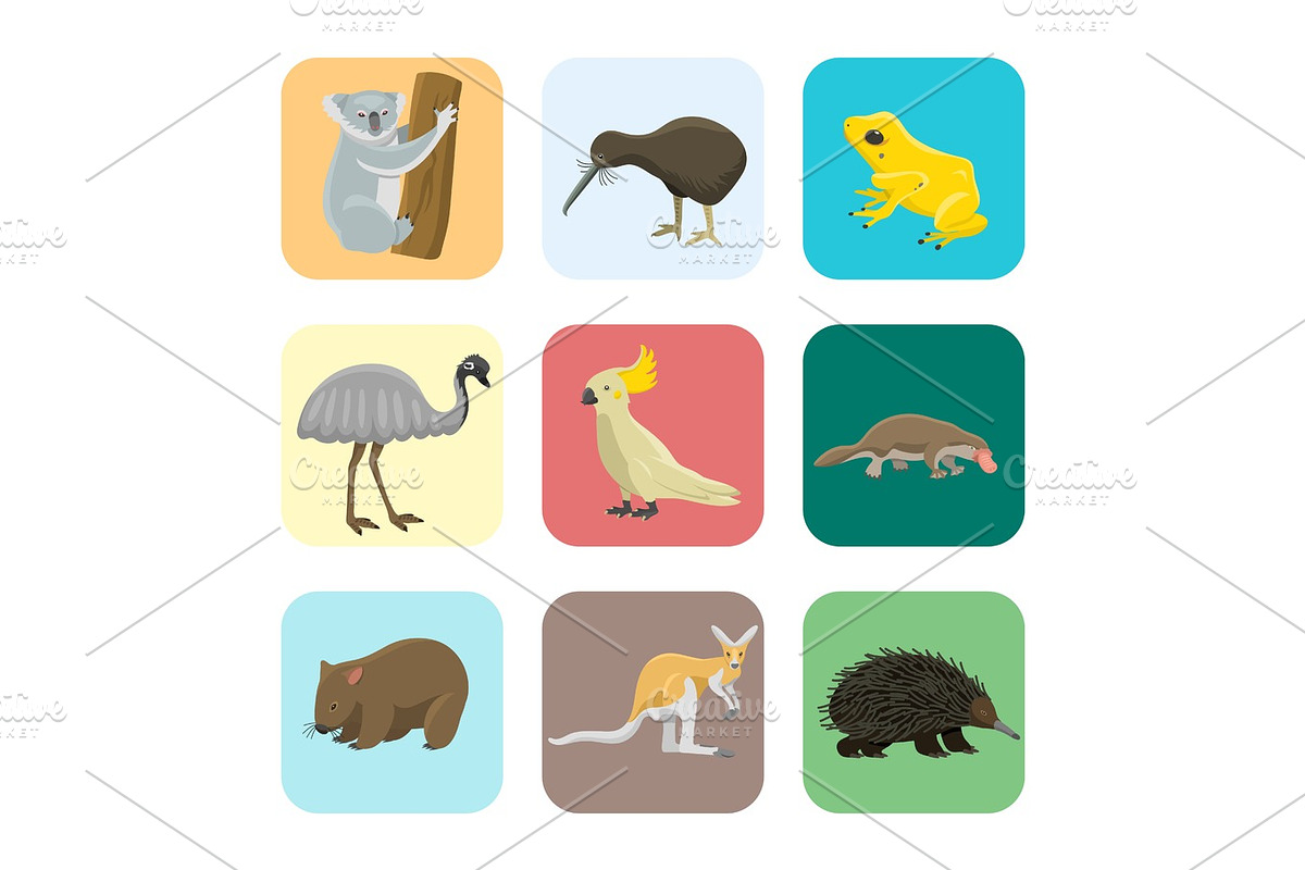 Australia wild animals cartoon popular nature characters flat style mammal collection vector illustration. in Objects - product preview 8