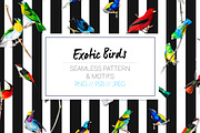 Exotic Birds - Seamless Pattern