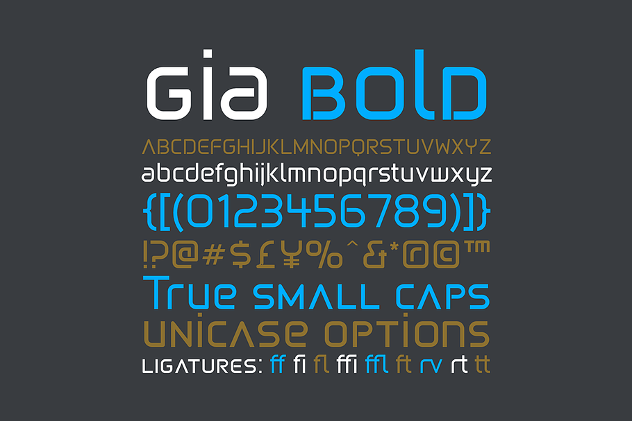Gia Bold in Display Fonts - product preview 8