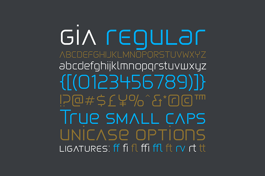 Gia Regular in Display Fonts - product preview 8