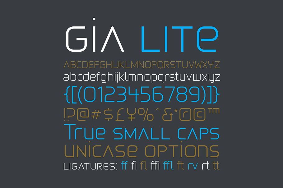 Gia Lite in Display Fonts - product preview 8