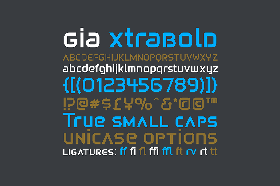 Gia XtraBold in Display Fonts - product preview 8