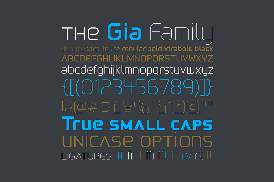 Gia Family in Display Fonts - product preview 8