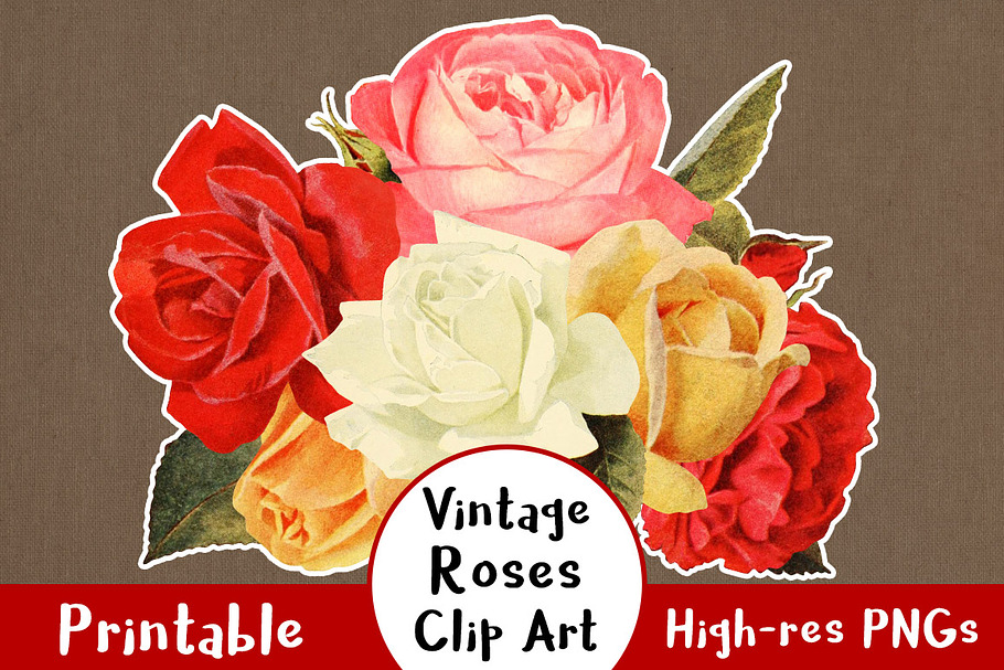 38 Vintage Rose Clip Art Graphics