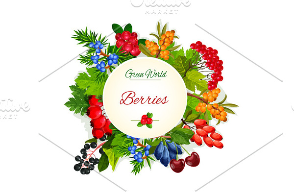 Vector poster of wild berries and ruits