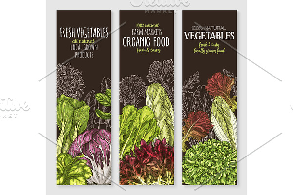 Vector banners of farm grown salads vegetables