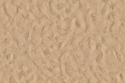 Sand Sample