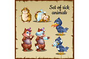 Sick and healthy animals, raven, beaver, hamster