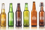 6 Type Beer Bottle Mock-up#20