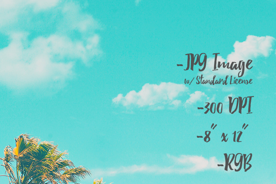 Save the Date Cards:: TROPICAL/RETRO