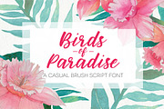 Birds of Paradise Brush Script